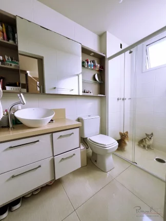 Imagem Apartamento com 3 quartos, 2 vagas e lazer com piscina a poucos metros do Hippo.  Localizado em fre...