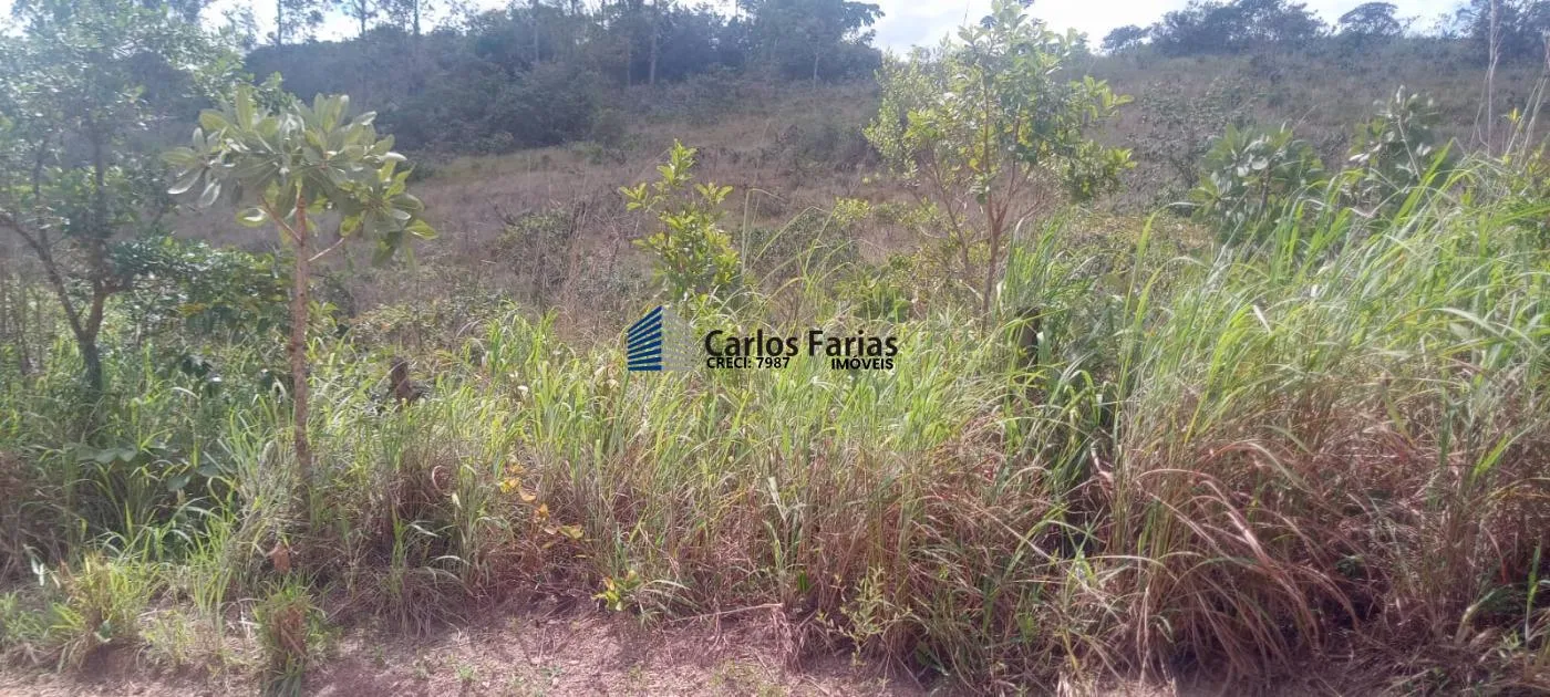 Foto do imóvel: Chácara para Venda em Brasília, Área Rural de São Sebastião