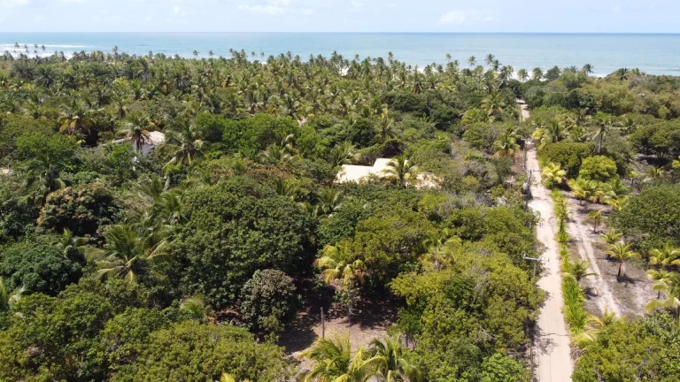 Foto do imóvel Glebas na Ponta da Baleia
