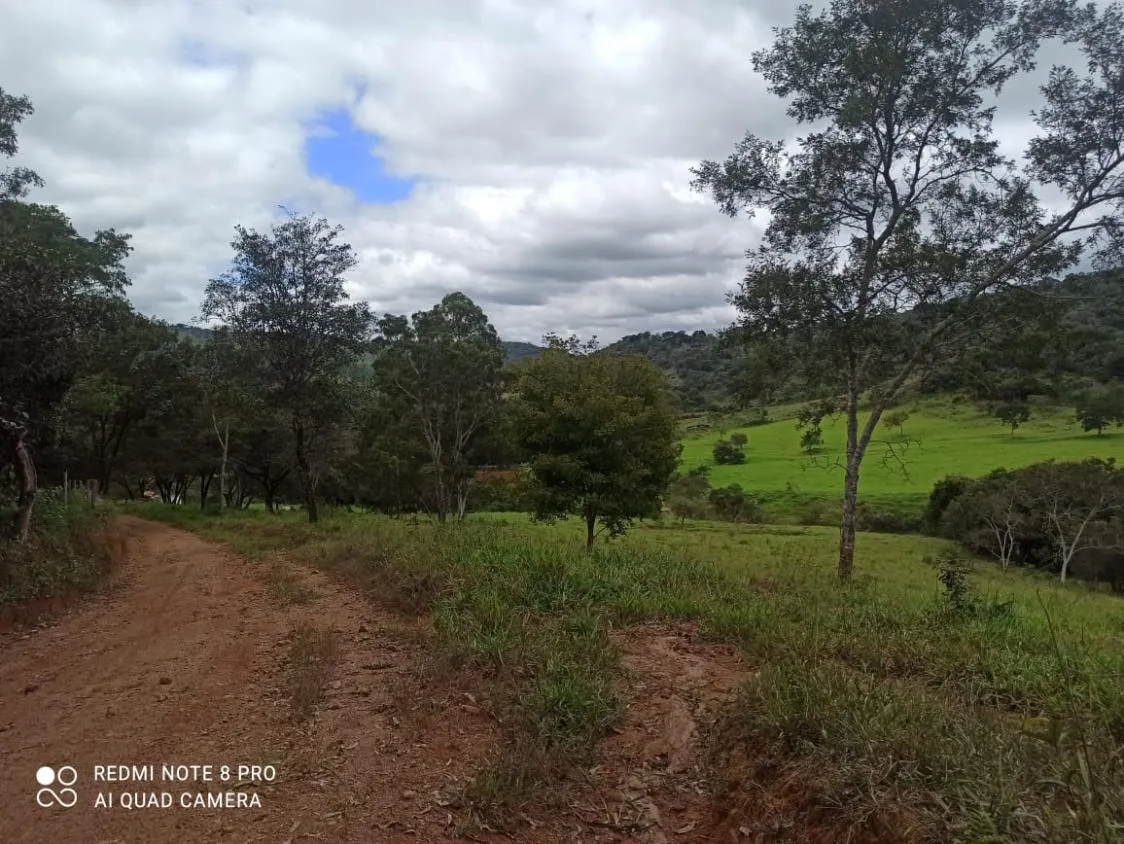 Imagem Vendo uma fazenda de 138 hectares em Passatempo/MG,
