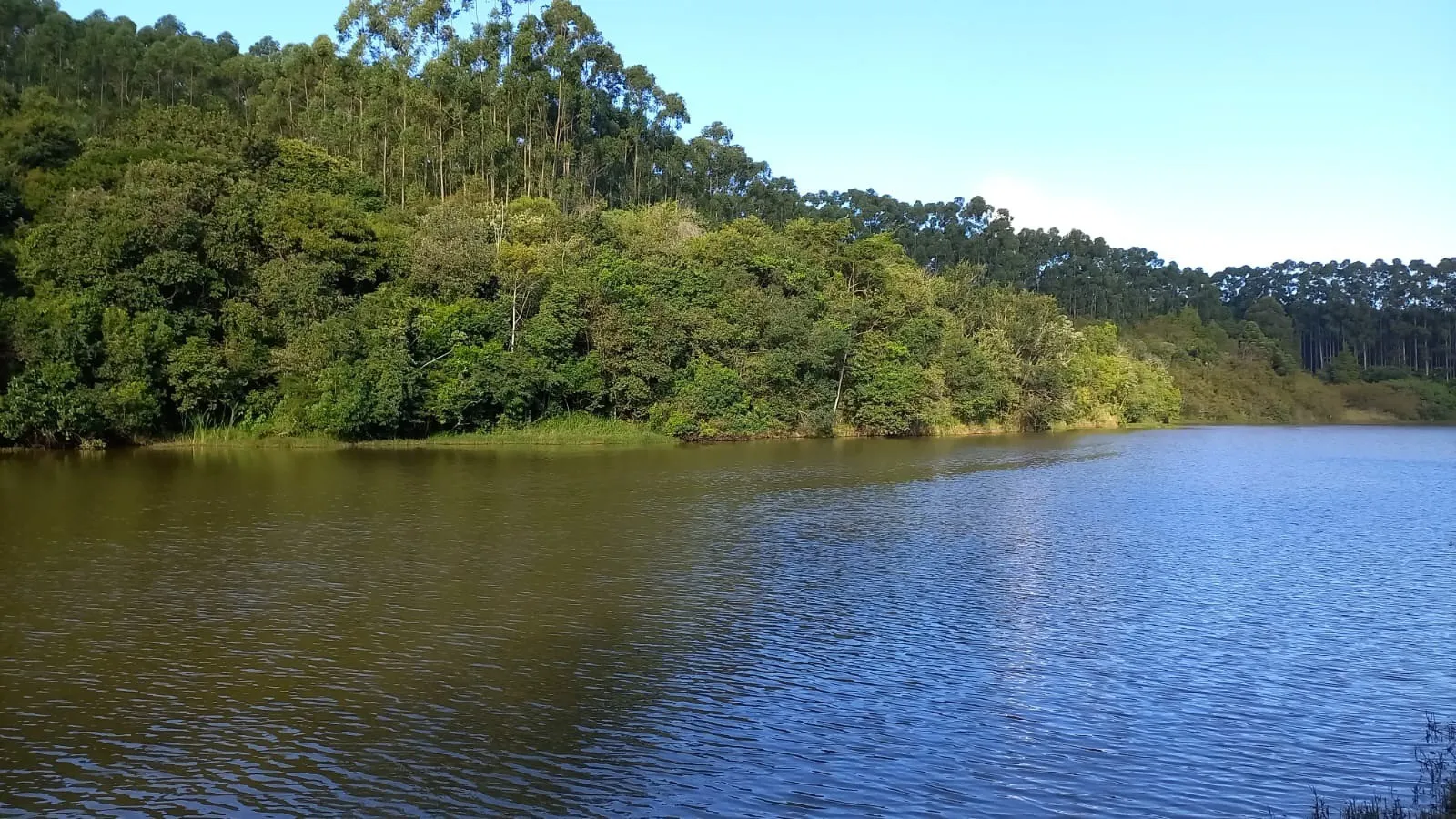 Imagem Terreno de 1000M² no Condomínio Fazenda Alta Vista, nas Proximidades da UFSCar