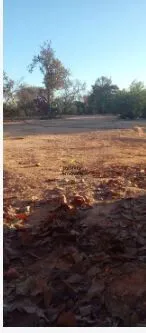 Imagem Sítio à venda no bairro Ravena - Sabará/MG