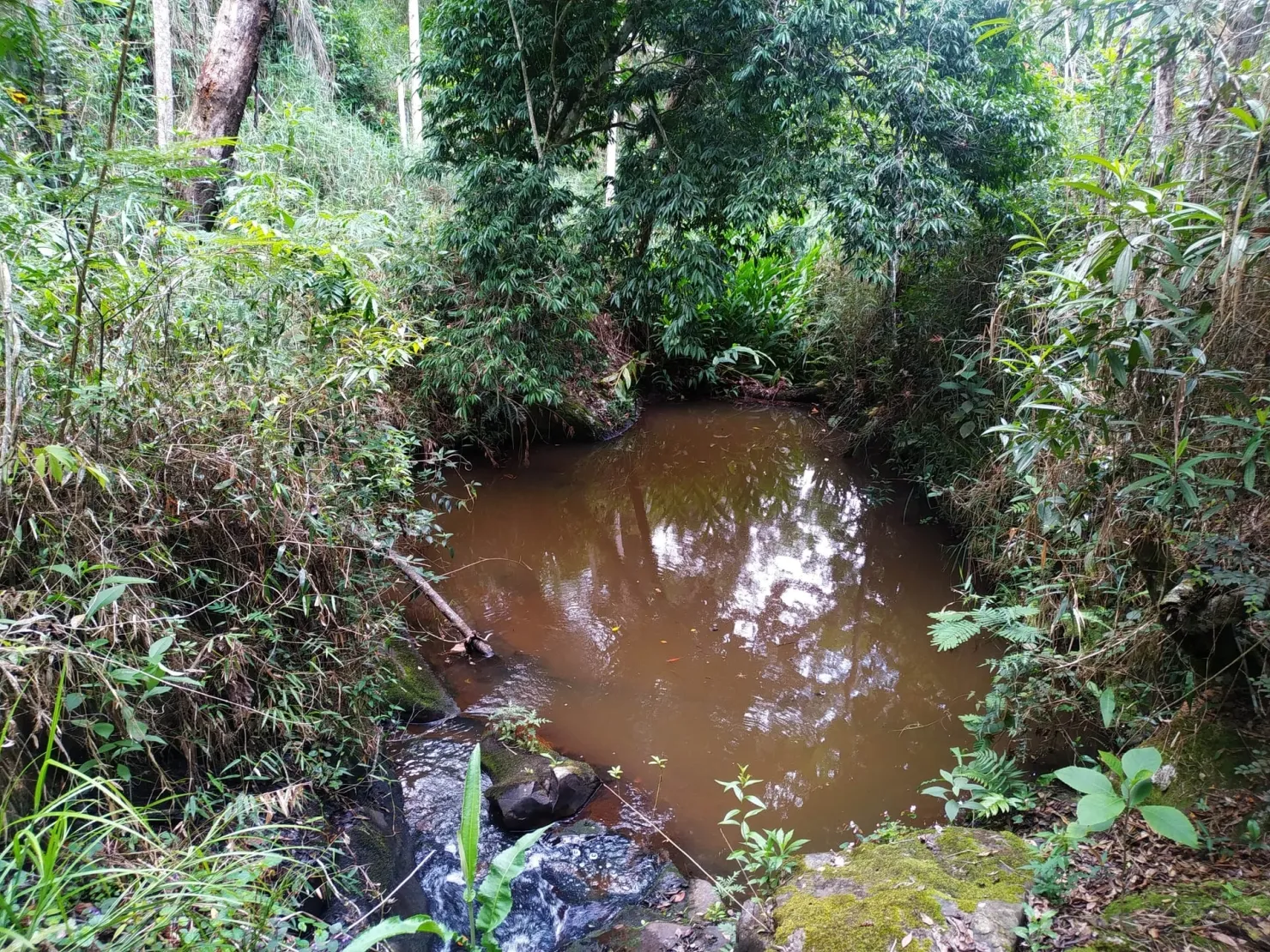Imagem Chácara à venda 1700000M², Centro, São Luiz do Paraitinga - SP