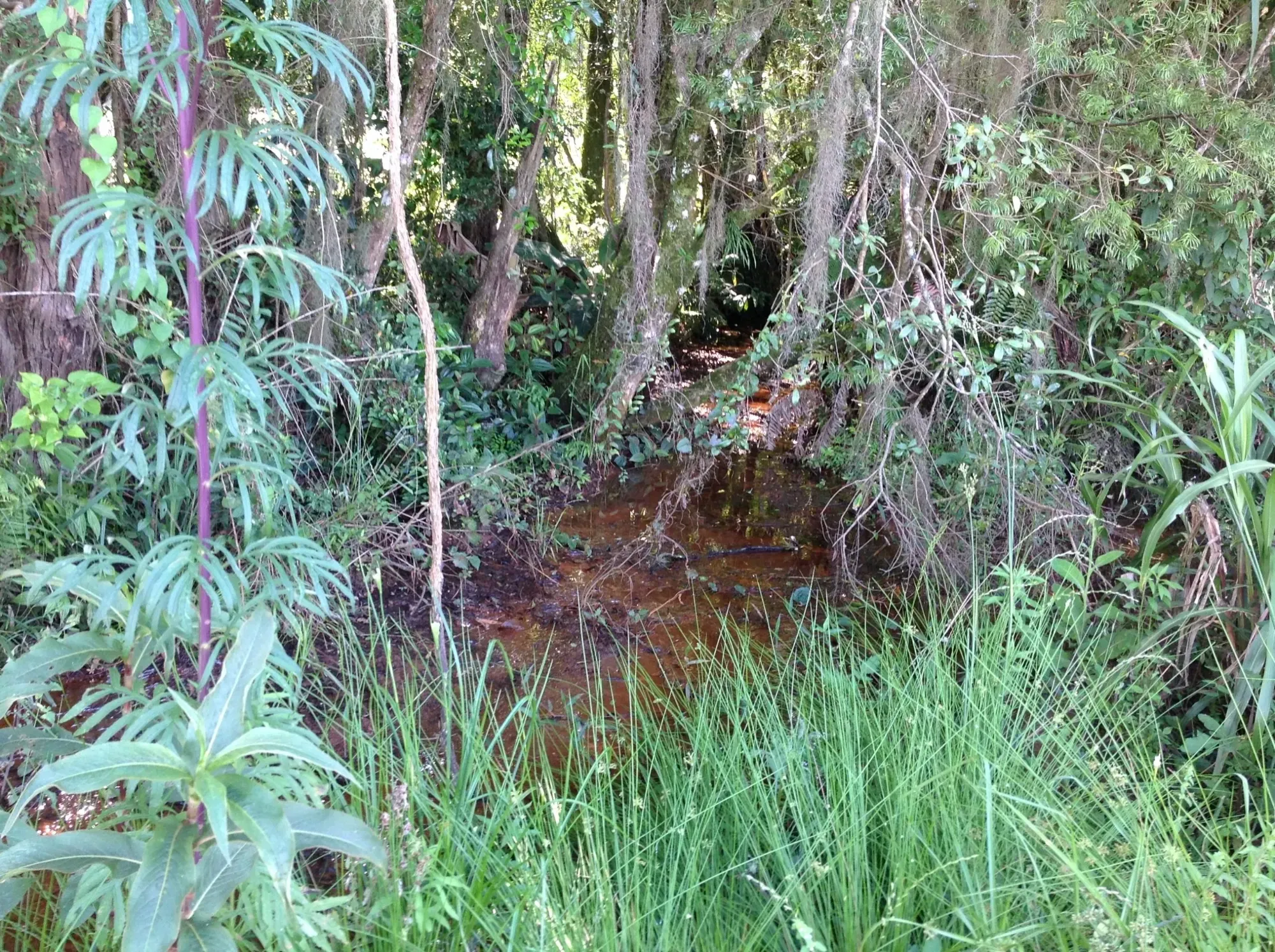 Imagem Terreno em Condomínio à Venda, 3.437 m² em Vila David Antônio - Campo Largo