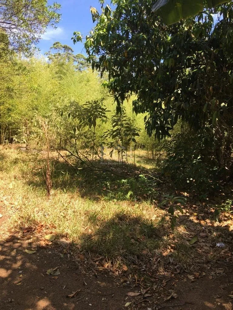 Imagem Terreno em Vila Nova