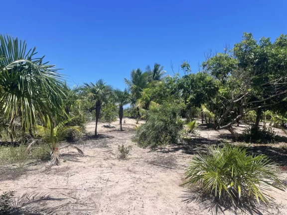 Imagem Terreno Praia Arandis