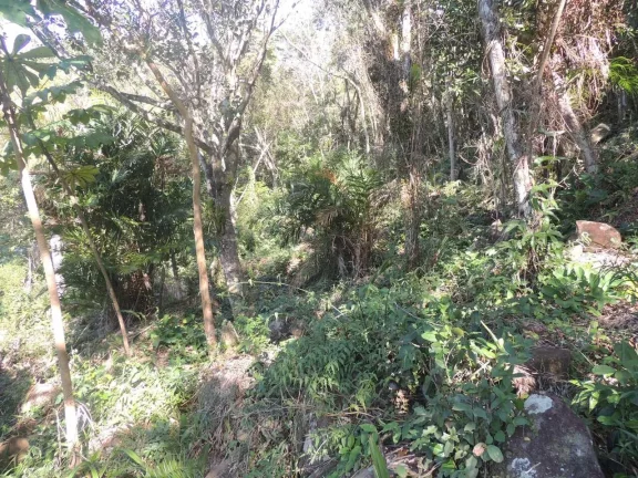 Imagem Terreno à Venda em Garopaba-SC, Praia da Gamboa, 973,63 m² de Área com Vista Mar!