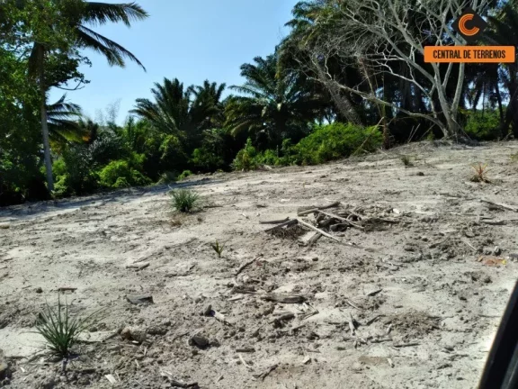 Imagem TERRENO EM LAURO DE FREITAS