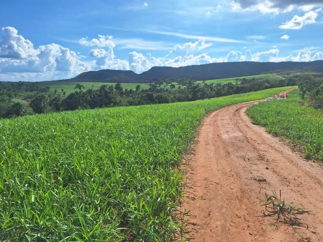 Imagem FAZENDA À VENDA - SÃO GONÇALO DO ABAETÉ (MG) 1.250 hectares de área total.