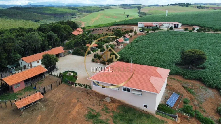 Imagem Fazenda, 3 Casas, 171 hectares, criação Gado Nelore e Lavoura, Sul de MG.