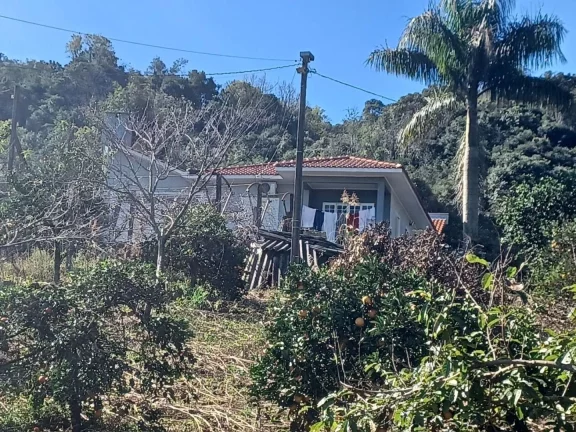 Imagem Chácara para Venda em Concórdia, Rural, 3 dormitórios, 1 banheiro