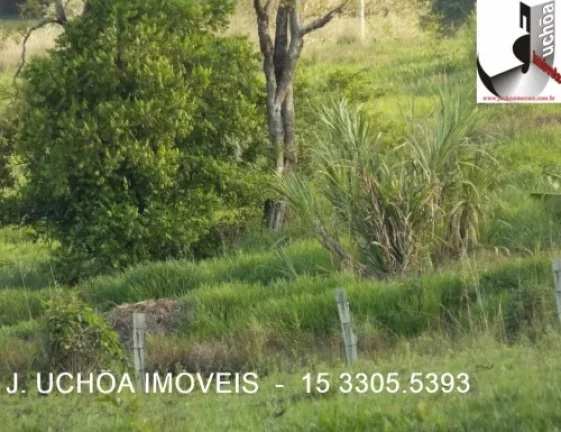 Imagem OPORTUNIDADE ÚNICA! CHÁCARA EM PEREIRAS ESPERA POR VOCÊ!