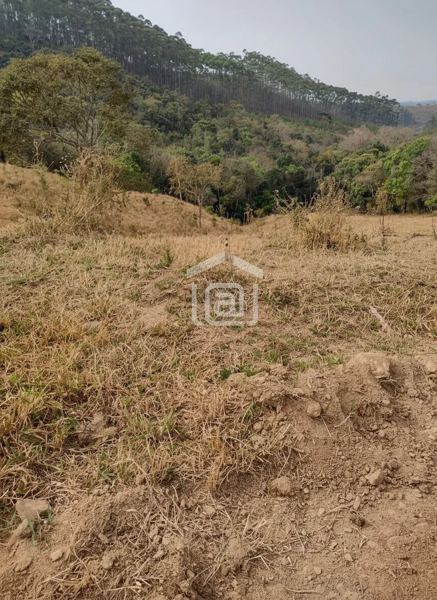 Imagem Sítio 24 m² à venda em Pocinhos do Rio Verde, Caldas