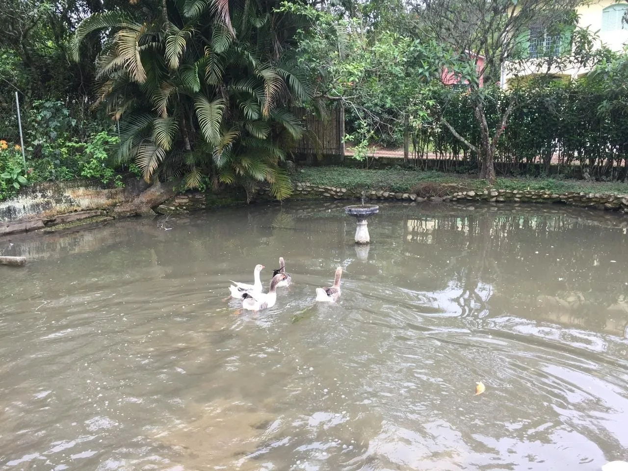 Imagem Chácara à venda 4 Quartos, 3 Suites, 7700M², Ribeirão Grande, Pindamonhangaba - SP
