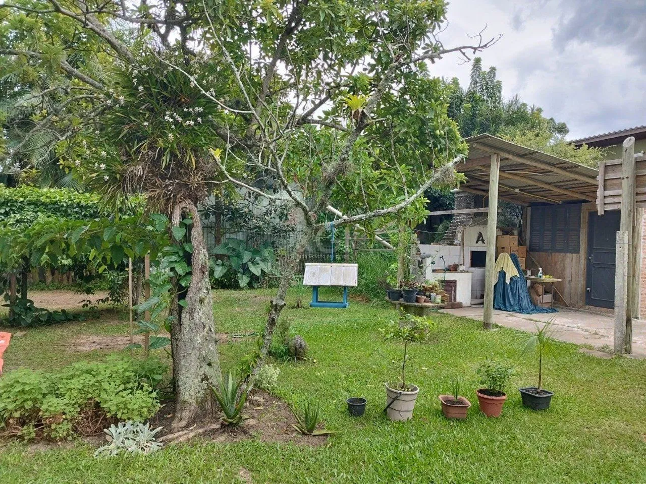Imagem Terreno em Centro