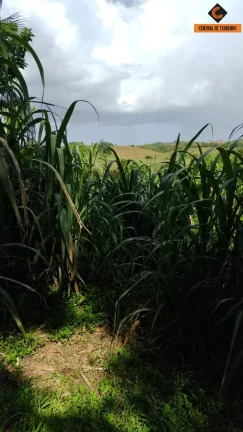 Imagem TERRENO EM CANDEIAS