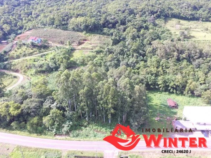 Imagem Área de terra com 7.884,70m² no São Roque/ Feliz.