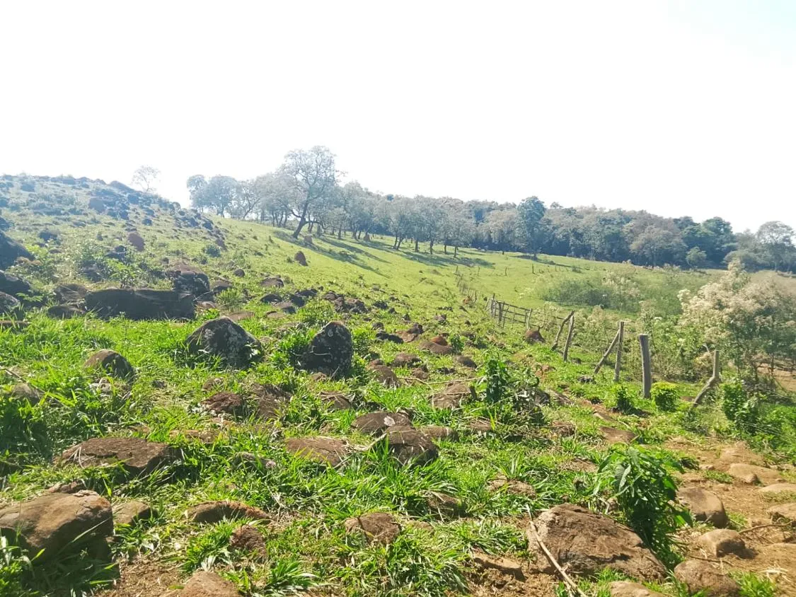 Imagem TERRENO COMPLETO COM 8 ALQUEIRES ? PRÓXIMO A RIO MANSO