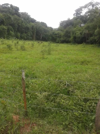 [Vendo Sítio em Brazópolis] [7 hectares com córrego d'água]