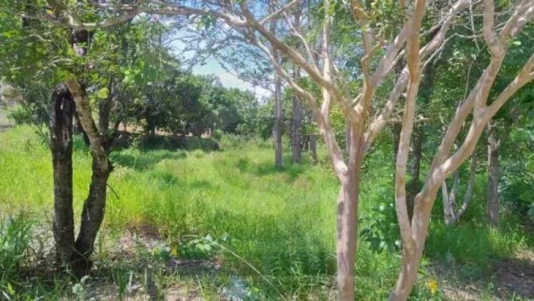 Imagem CH0359 - Chacara a venda em Bofete - aceito permuta Botucatu
