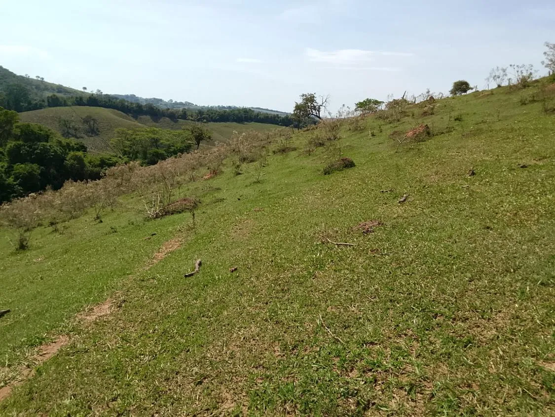 Imagem TERRENO COMPLETO COM 8 ALQUEIRES ? PRÓXIMO A RIO MANSO