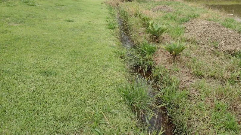 Imagem Vendo Sítio em Lagoa Dourada / MG , com 12.500 m² de área.