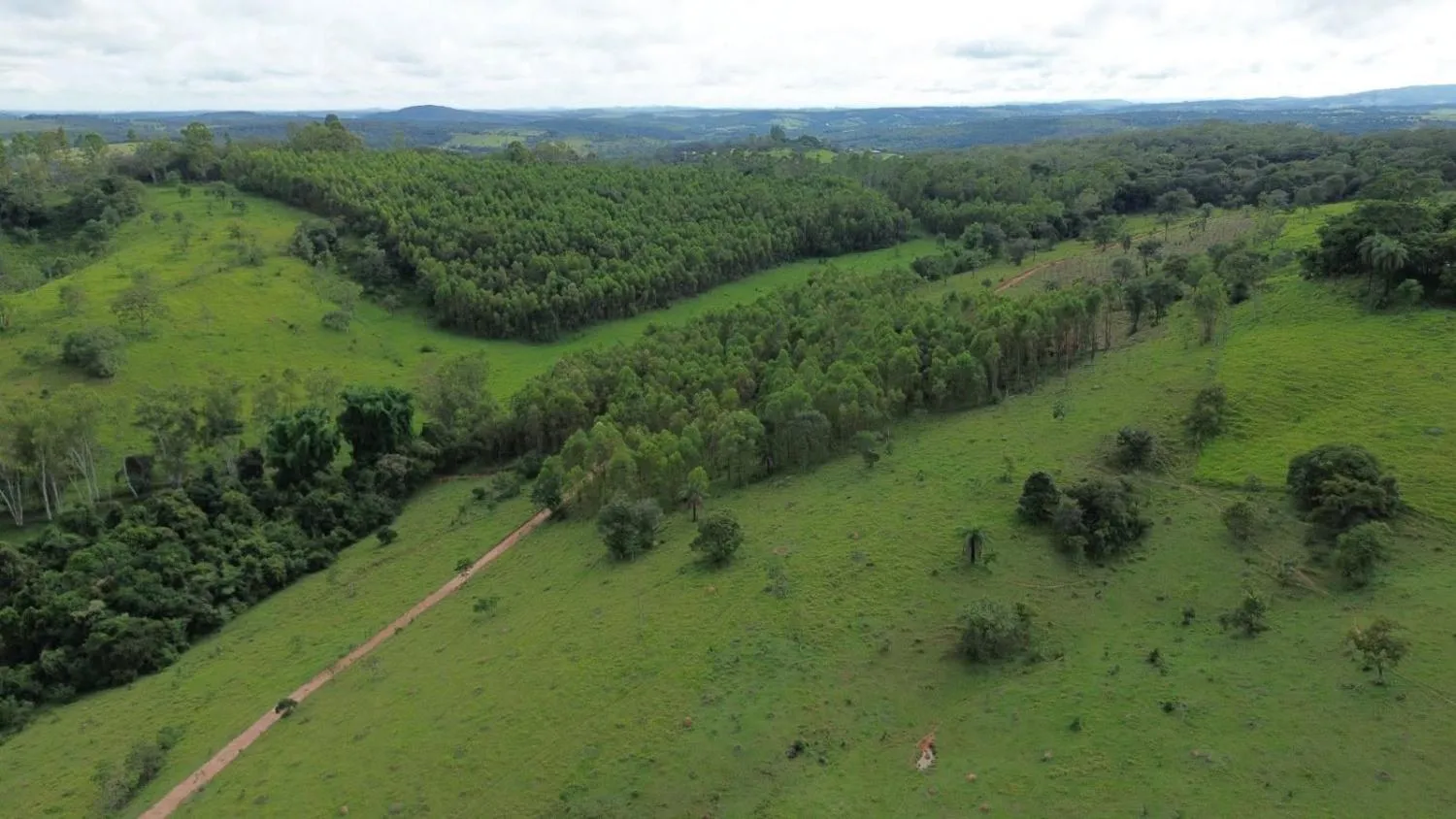 Imagem Terreno à Venda em Carmo da Mata / Cláudio: 27 Hectares com Estrutura Completa de Lazer