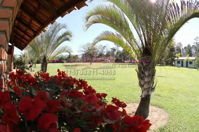 Imagem Venda de Haras com 08 alqueires