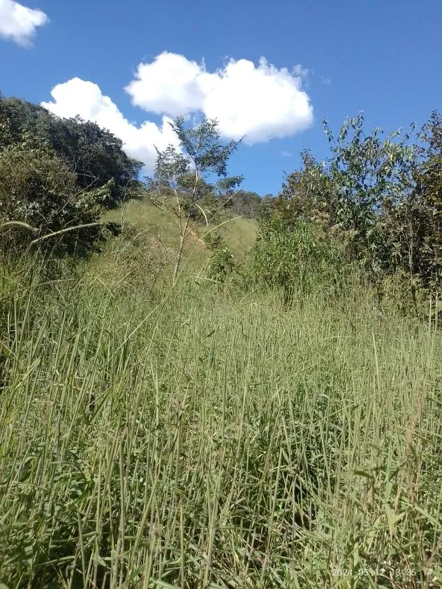 Imagem Ótima Oportunidade em Itaguara/MG: Terreno de 6 Hectares no Povoado Boa Vista