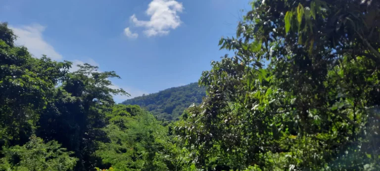 Imagem Oportunidade!!! Apartamento praia Tabatinga Caraguatatuba SP
