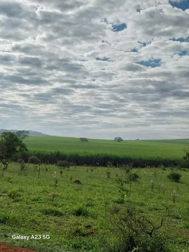 Imagem Vendo excelente fazenda em Lagoa da Prata/MG 376 hectares de terra