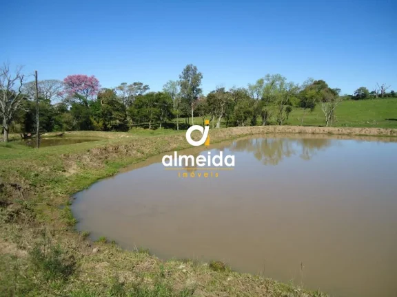 Imagem Chácara 3 dormitórios à venda Zona rural Restinga Seca/RS