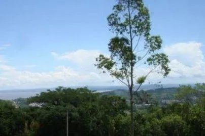 Imagem Terreno em Vila Nova