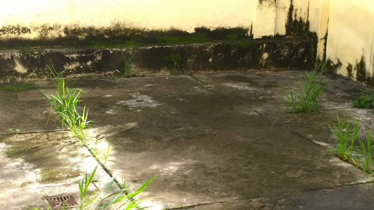 Imagem Casa à venda 3 Quartos, 1 Vaga, 246M², Abaete, Taubaté - SP
