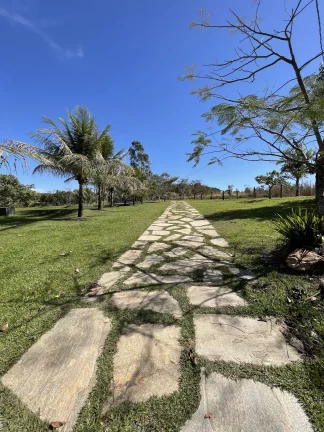 Imagem Chácara à venda no bairro Área Rural de Goianésia - Goianésia/GO, Zona Rural