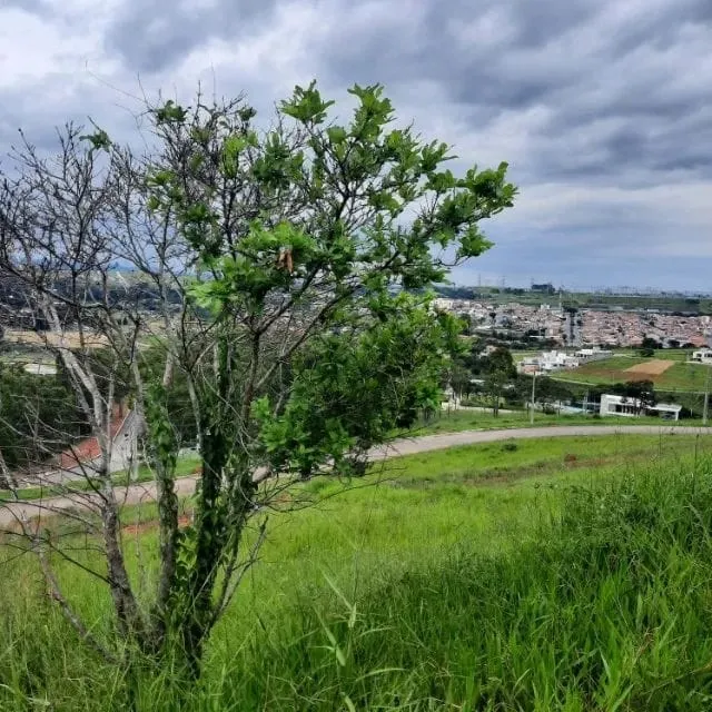 Imagem Terreno à venda 604.17M², Caixa D'água, Taubaté - SP | Campos do Conde Taubaté