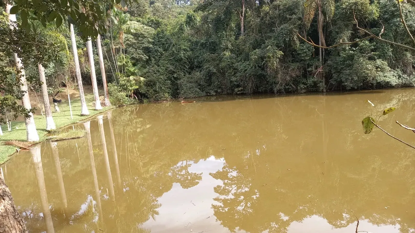Imagem Fazenda à Venda, 20 HA em Casa Amarela - Betim