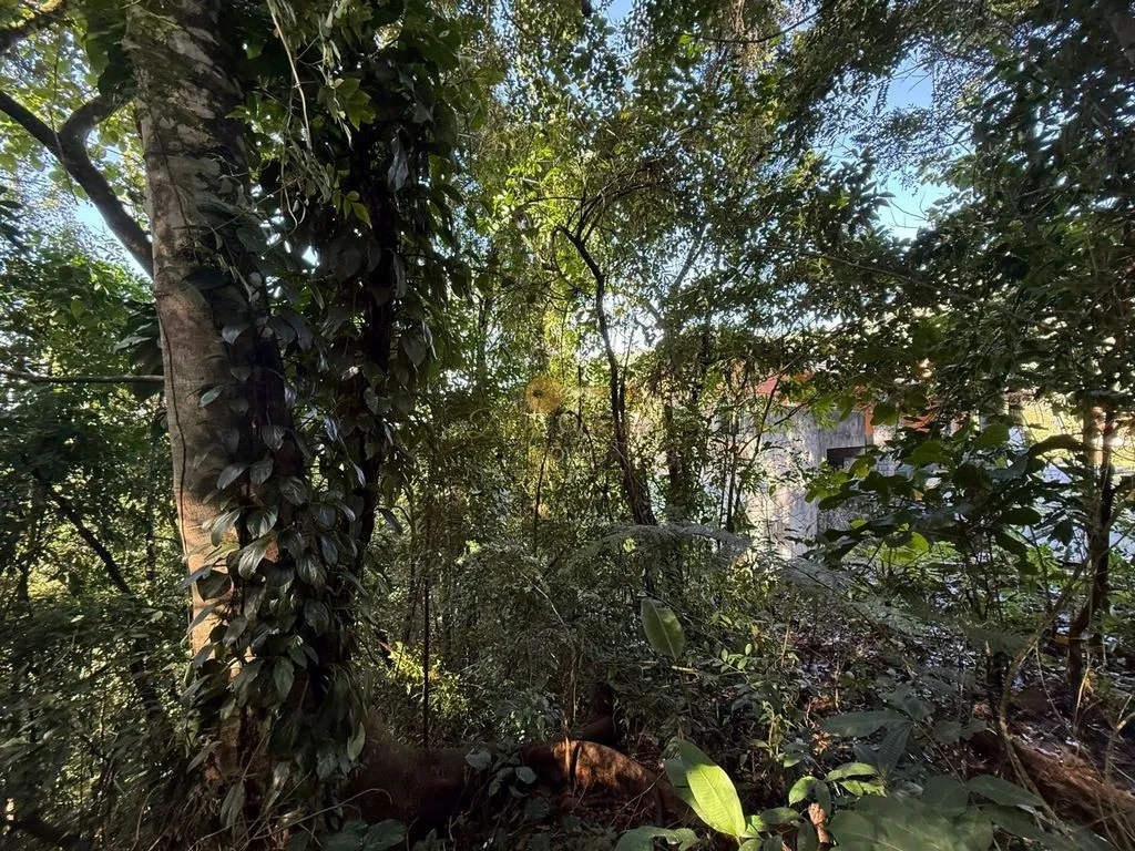 Imagem Terreno em Condomínio para Venda em Guapimirim / RJ no bairro Limoeiro