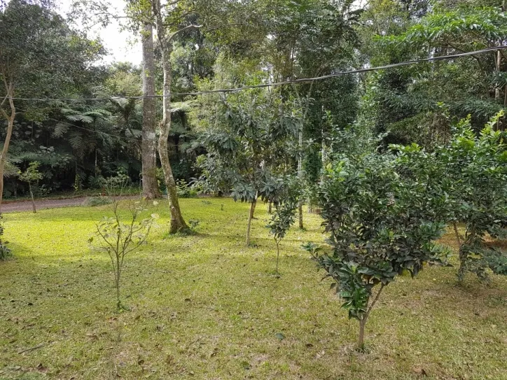 Imagem Chácara 8000m2 com Piscina e Pomar em São Salvador Cascavel