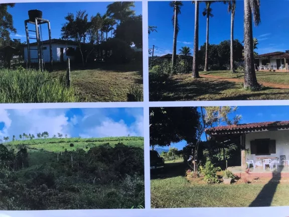 Imagem FAZENDA DE CACAU - PARAÍSO PRODUTIVO EM ITACARÉ