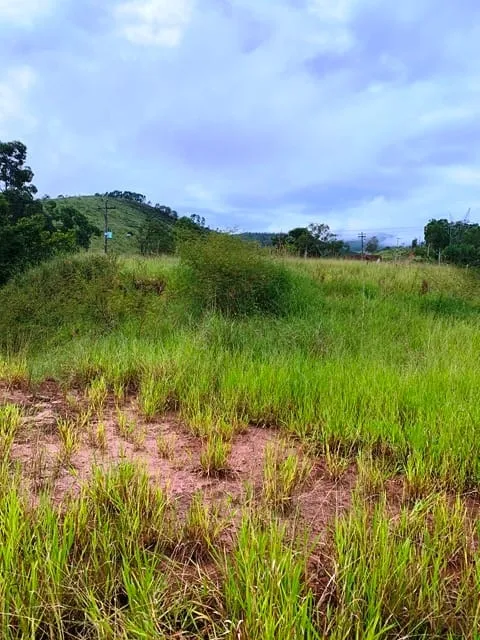 Imagem Chácara à venda 1666.67M², Goiabal, Pindamonhangaba - SP