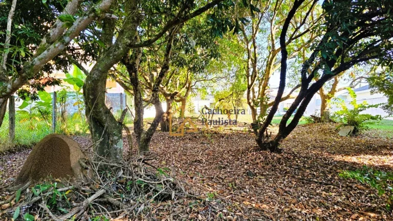 Imagem Terreno à venda, 539 m² - Jardim Nova Cachoeira - Cachoeira Paulista/SP