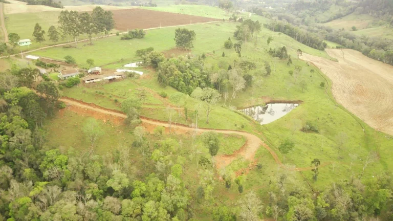 Imagem Área Agrícola para Venda em Concórdia, Rural