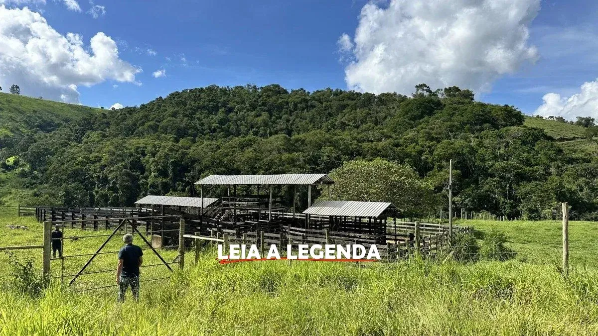Imagem Imóvel