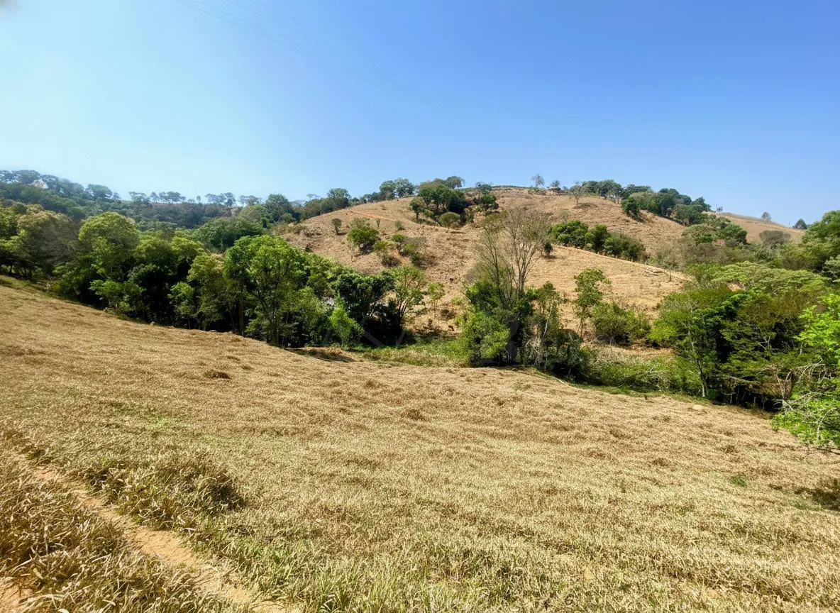 Imagem Sítio 2,42 ha à venda em Correias, Bandeira do Sul