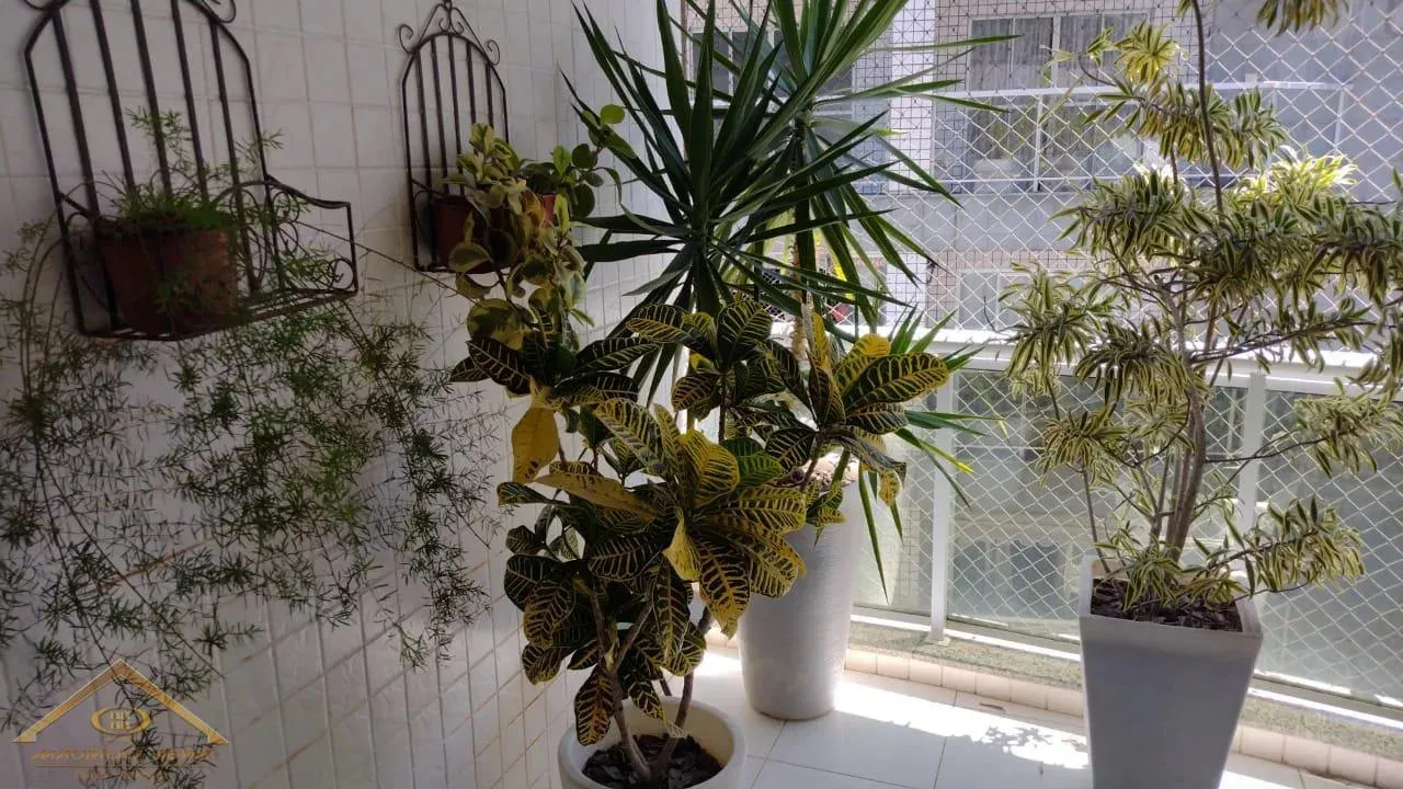 Imagem Apartamento para Venda em Cabo Frio / RJ no bairro Passagem