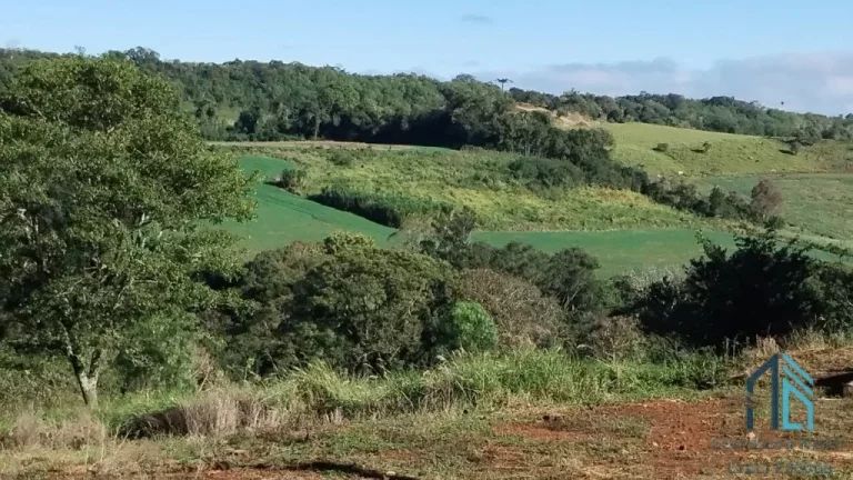 Imagem Sitio a venda, 375,100 mil m² (15.5 alqueires), aproximado 7 alqueires de plantio restante reserva e pasto, em Condói PR