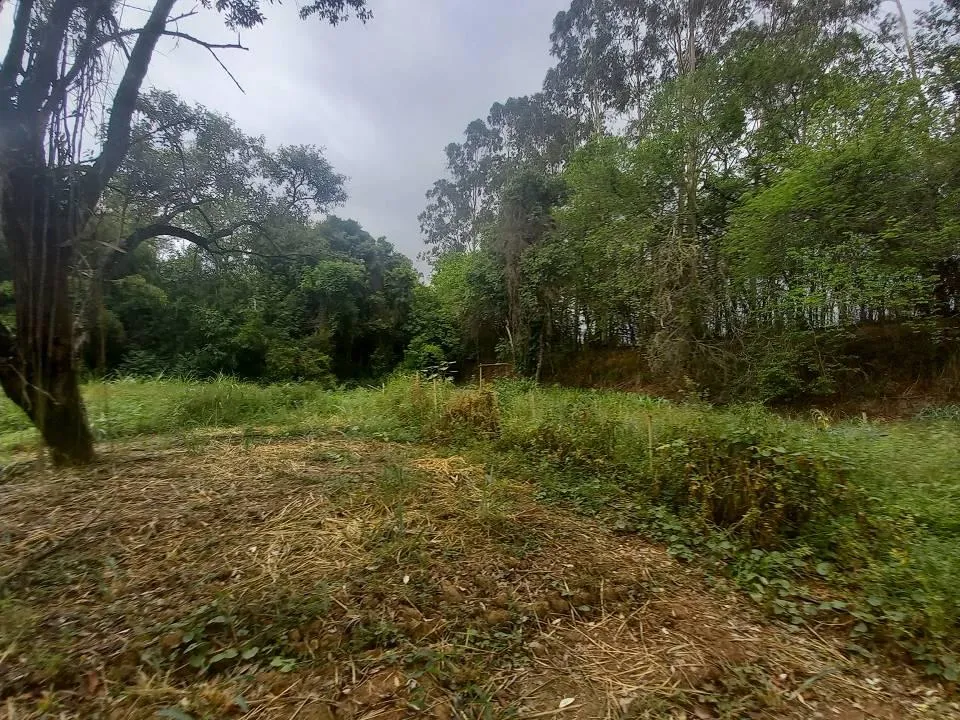 Imagem CHÁCARA - PARQUE IMPERADOR -CAMPINAS