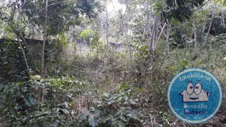 Imagem Vendo excelentes terrenos no centro de Trancoso, litoral da Bahia.