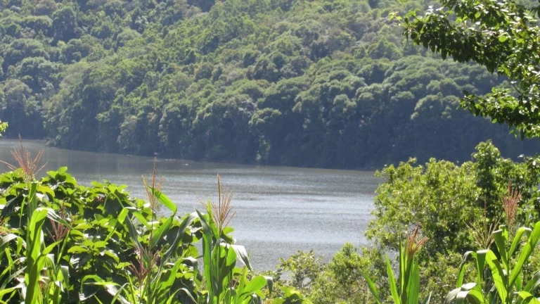 Imagem Terreno para Venda em Concórdia, Lageado Paulino